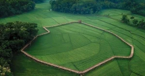 Regulasi Pengendalian Alih Fungsi Lahan Sawah