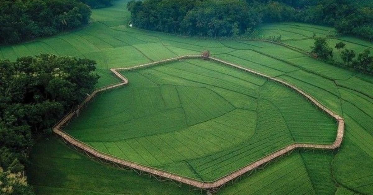 Regulasi Pengendalian Alih Fungsi Lahan Sawah